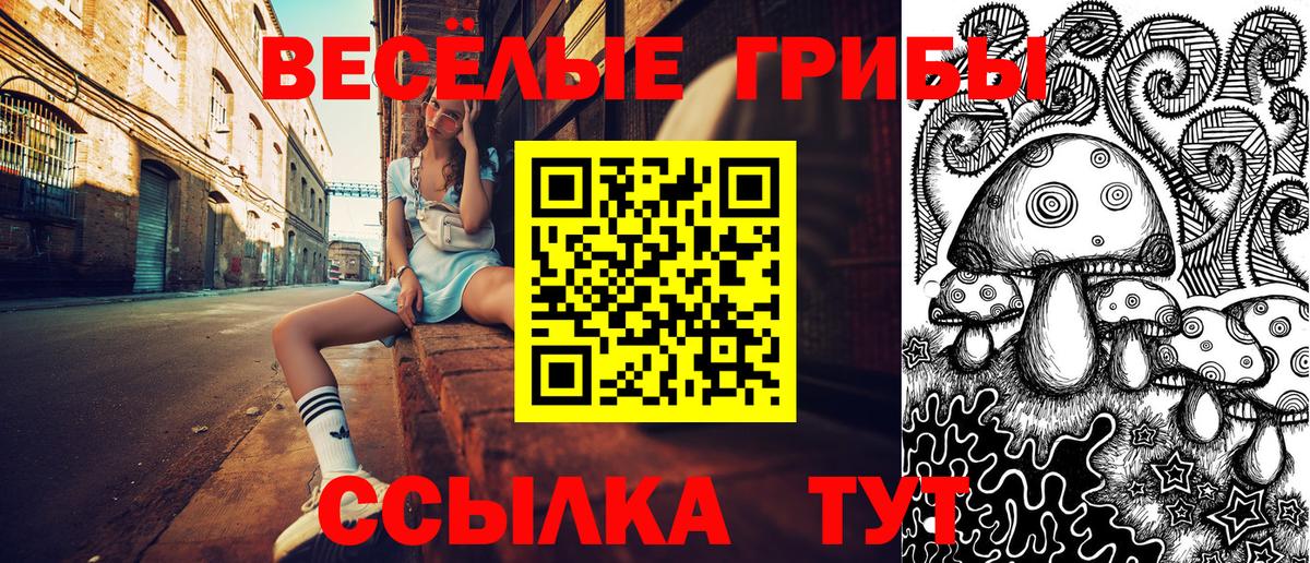 Вольск  Псилоцибиновые грибы мицелий  Вход с VPN  Галлюциногенные грибы Psilocybe 